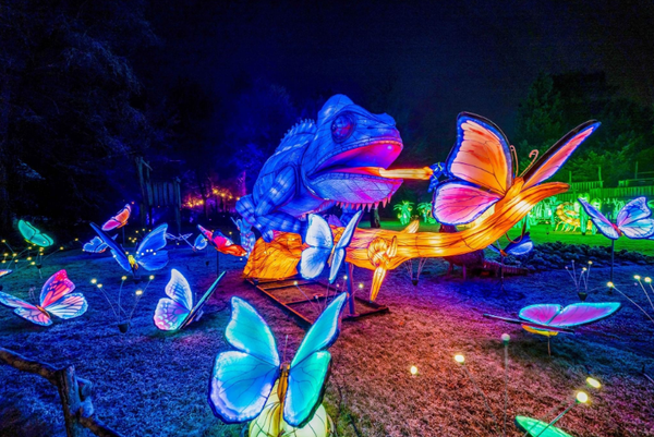 chinese animal lanterns festival