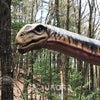 30m long Animatronic Argentinosaurus Moving Dino