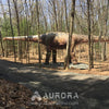 30m long Animatronic Argentinosaurus Moving Dino