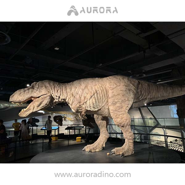 Mechanical Life Size Dinosaur T-rex