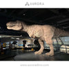 Mechanical Life Size Dinosaur T-rex