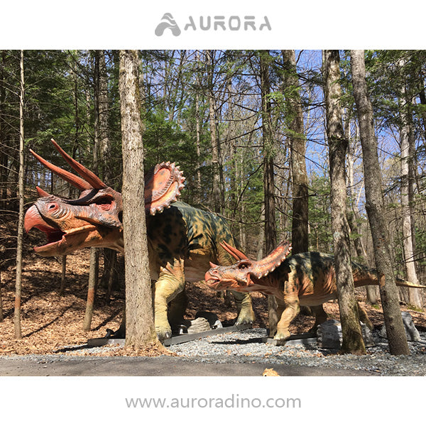 Animatronic Triceratops Dinosaur in US Dino Adventure