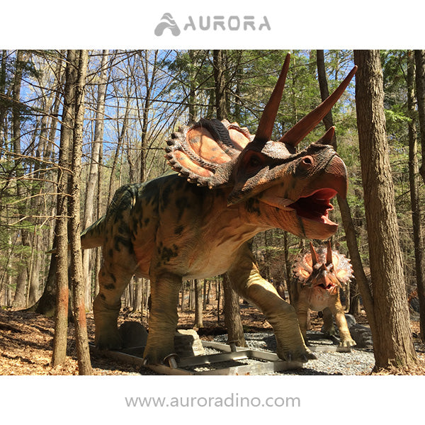 Animatronic Triceratops Dinosaur in US Dino Adventure