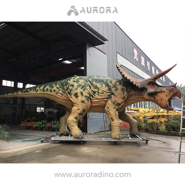 Animatronic Triceratops Dinosaur in US Dino Adventure