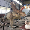 Animatronic  Pentaceratops With Five Horns Dinosaur