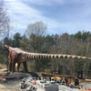 The Largest Titanosaurus Dinosaur Animatronic Model