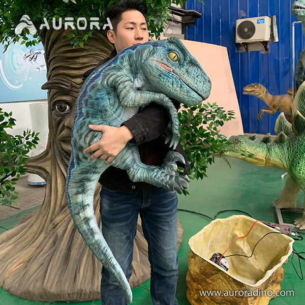 Realistic baby dinosaur hand puppets for popular Velociraptor Puppets