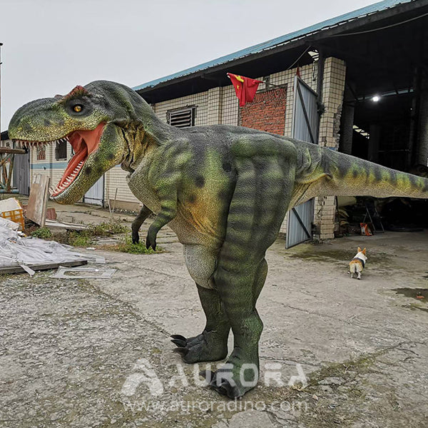 Adult Size Dinosaur Costume