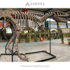 Simulation Dinosaur Skeleton T-rex Fossil Replica