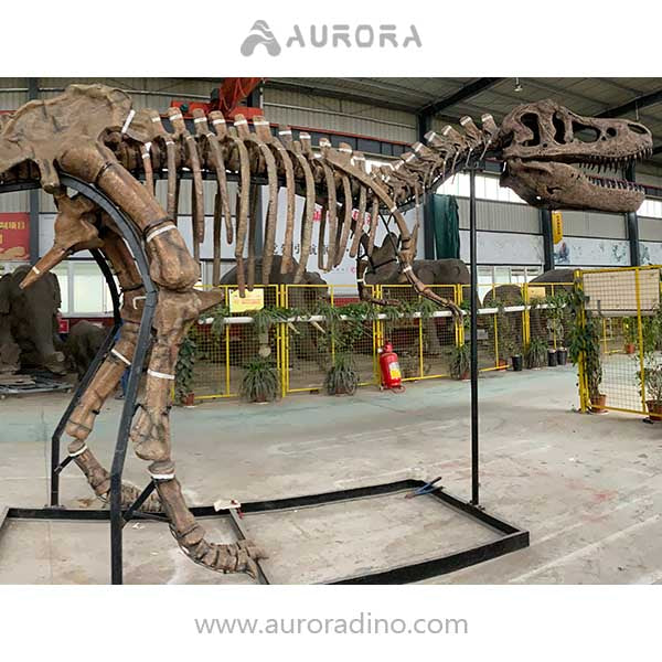 Simulation Dinosaur Skeleton T-rex Fossil Replica