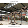 Simulation Dinosaur Skeleton T-rex Fossil Replica