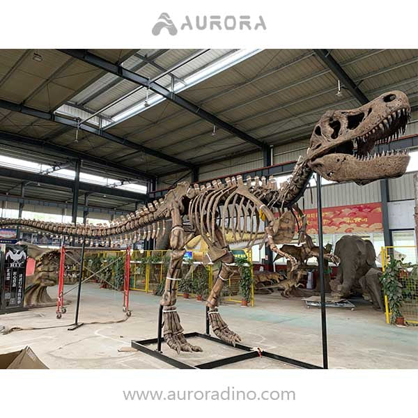 Simulation Dinosaur Skeleton T-rex Fossil Replica