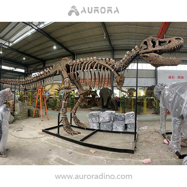 Simulation Dinosaur Skeleton T-rex Fossil Replica
