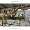 Simulation Dinosaur Skeleton T-rex Fossil Replica