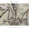 Simulation Dinosaur Skeleton Pterosaur Replica