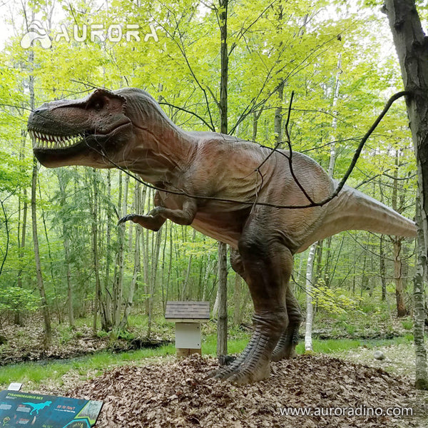 12m T- rex for Animatronic Dinosaur