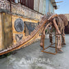 Triceratops Dinosaur Skeleton Replica Factory