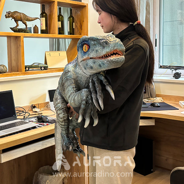 Velociraptor Props For Dinosaur Performance Show