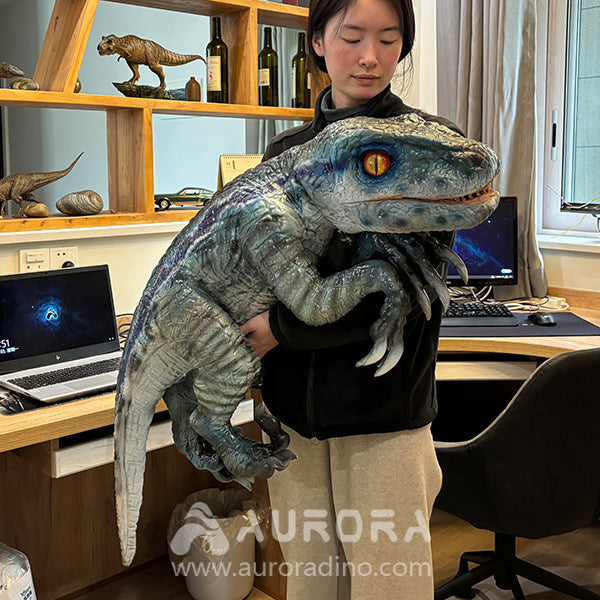 Velociraptor Props For Dinosaur Performance Show