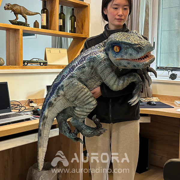 Velociraptor Props For Dinosaur Performance Show