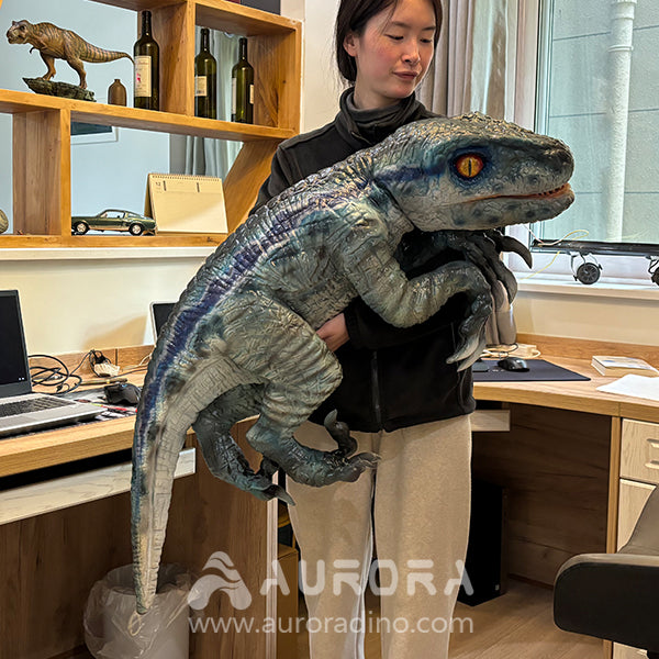 Velociraptor Props For Dinosaur Performance Show