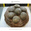 Simulation Dinosaur Egg Fossil Replica