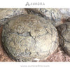 Simulation Dinosaur Egg Fossil Replica