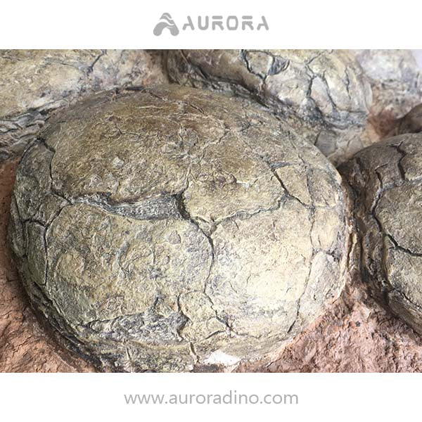 Simulation Dinosaur Egg Fossil Replica