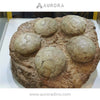 Simulation Dinosaur Egg Fossil Replica