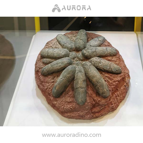Simulation Dinosaur Egg Fossil Replica