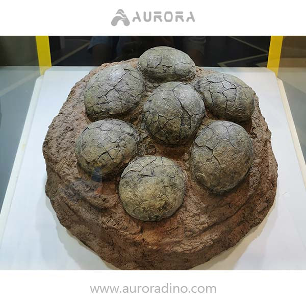 Simulation Dinosaur Egg Fossil Replica