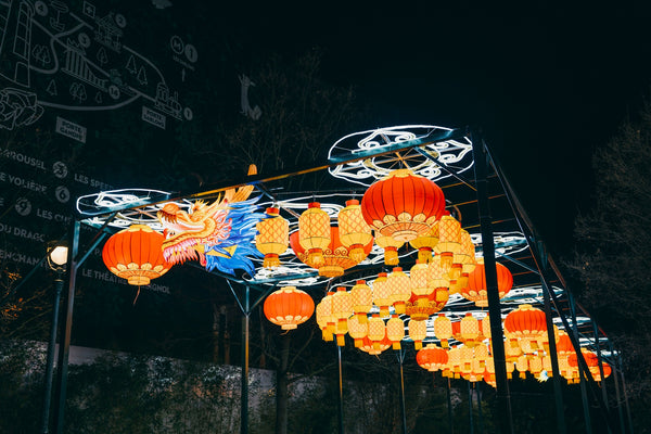 Dragon Festival Lantern