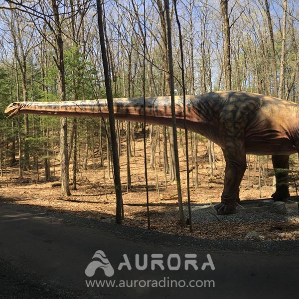 30m long Animatronic Argentinosaurus Moving Dino