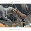 Lifesize Animatronic Spinosaurus for Dino Dragon Exhibits
