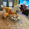 Hatching Oviraptor Animatronic With Dinosaur Egg Babies