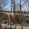 The Largest Titanosaurus Dinosaur Animatronic Model