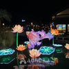 Goldfish Flower Lanterns Group
