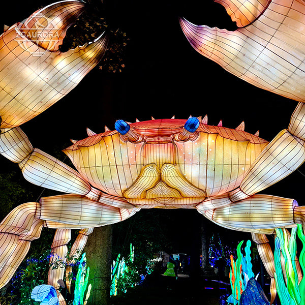 Marine Animal Lanterns