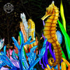 Marine Animal Lanterns