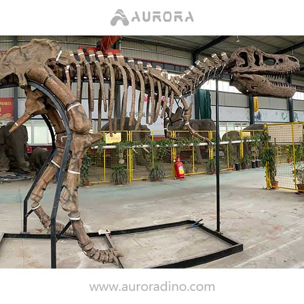 Simulation Dinosaur Skeleton T-rex Fossil Replica