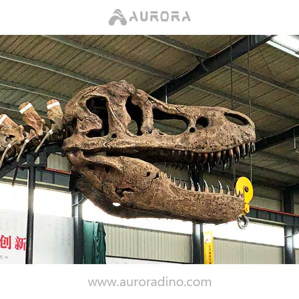 Simulation Dinosaur Skeleton T-rex Fossil Replica