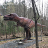 12m T- rex for Animatronic Dinosaur