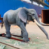 Animatronic African Elephant