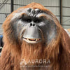 Realistic Gorilla Animal Costume Head